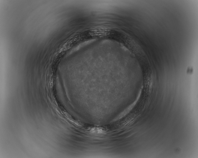 X0000115310751200911161721