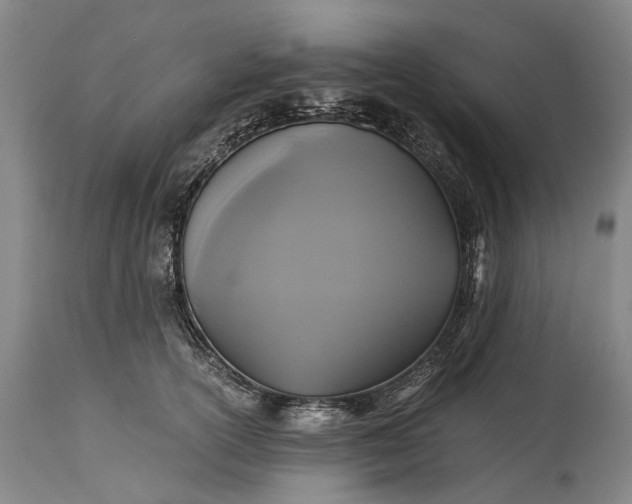 X0000115310754200911161721