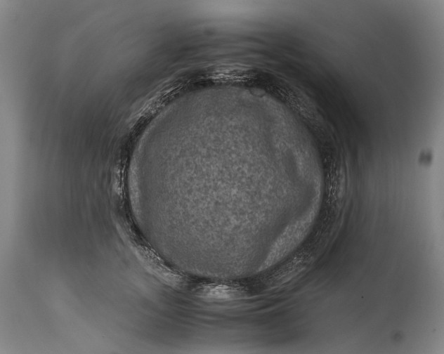 X0000115310755200911161721