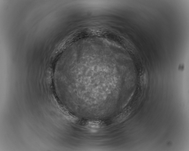 X0000115310757200911161721