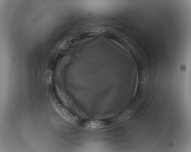 X0000115310758200911161721