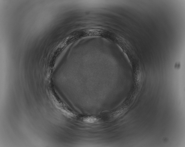 X0000115310759200911161721