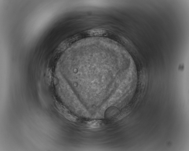 X0000115310761200911161721