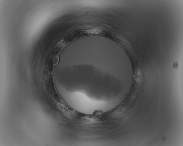 X0000115310763200911161721