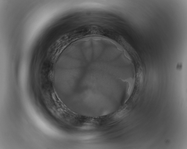 X0000115310765200911161721