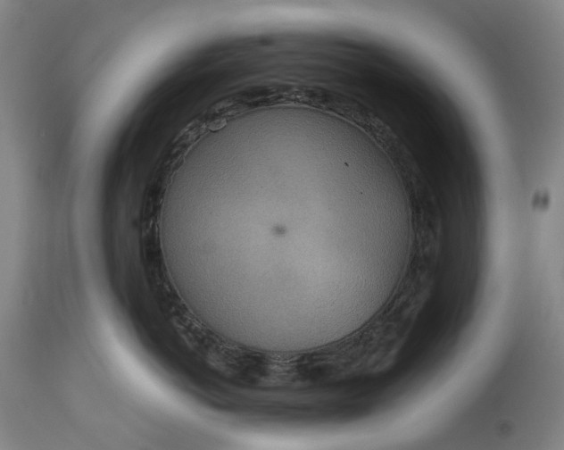 X0000115310766200911161721