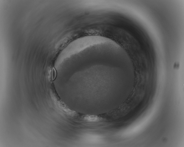 X0000115310767200911161721