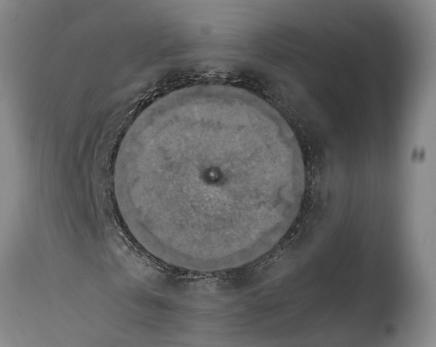 X0000115310769200911161720