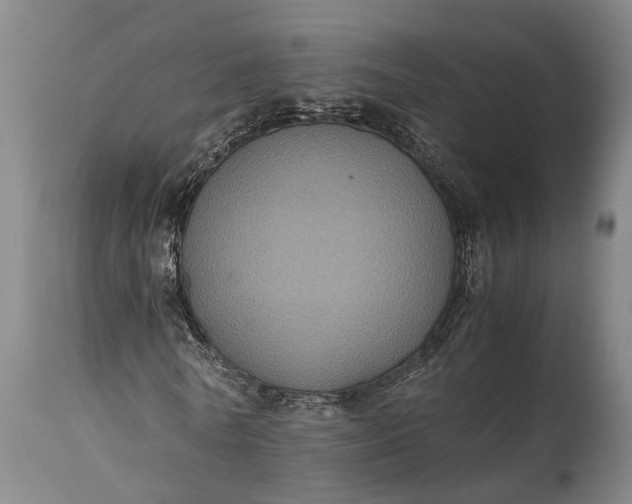 X0000115310770200911161720