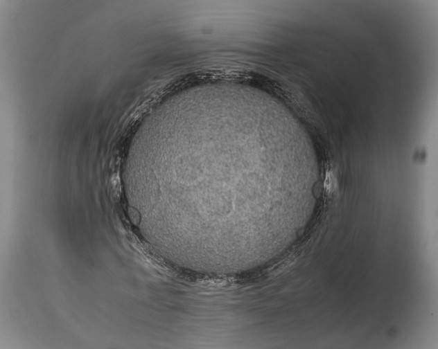 X0000115310771200911161720