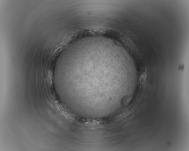 X0000115310772200911161720