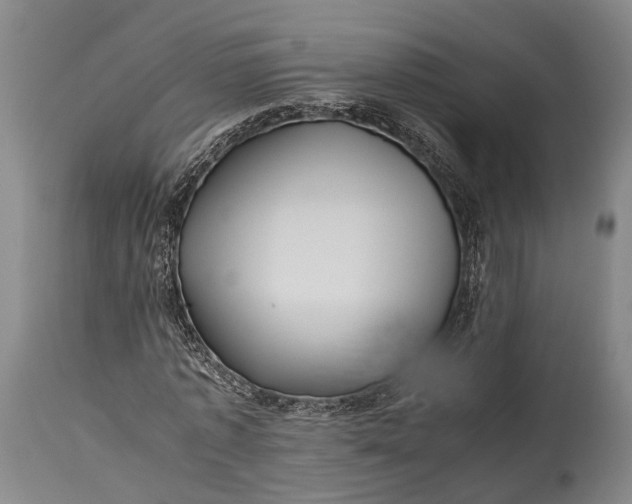 X0000115310773200911161720