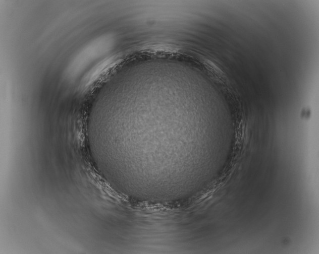 X0000115310774200911161720