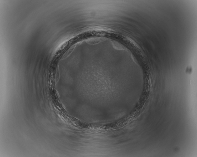 X0000115310775200911161720