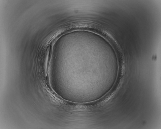 X0000115310777200911161720