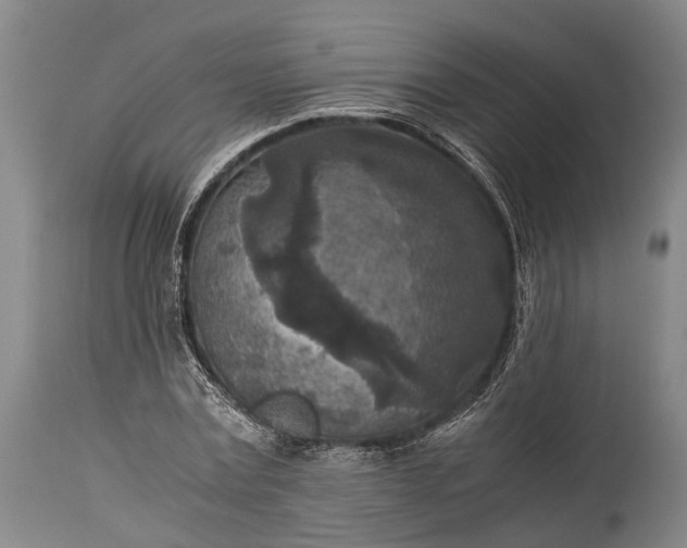 X0000115310779200911161720