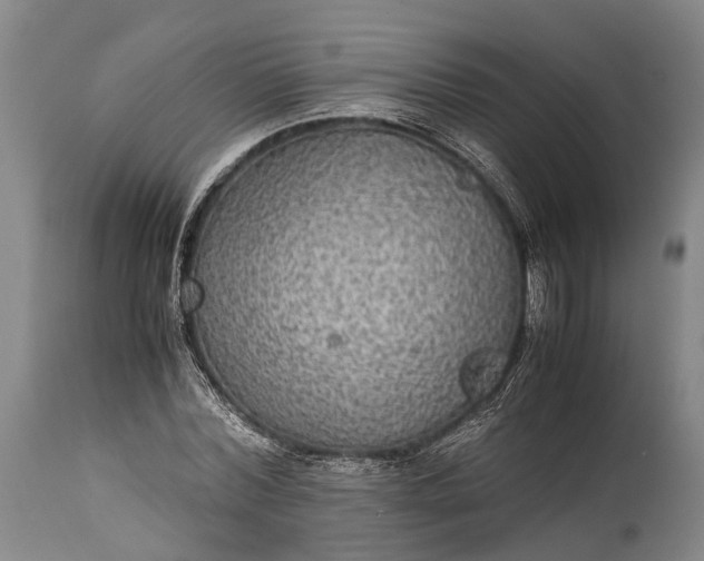 X0000115310780200911161720