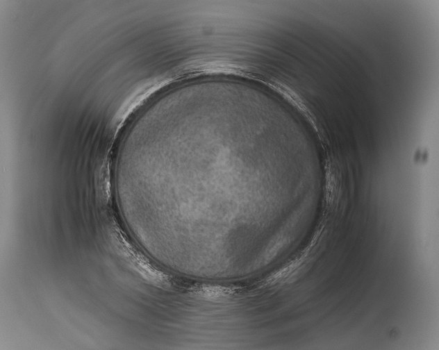 X0000115310782200911161720