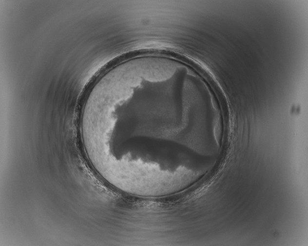 X0000115310783200911161720