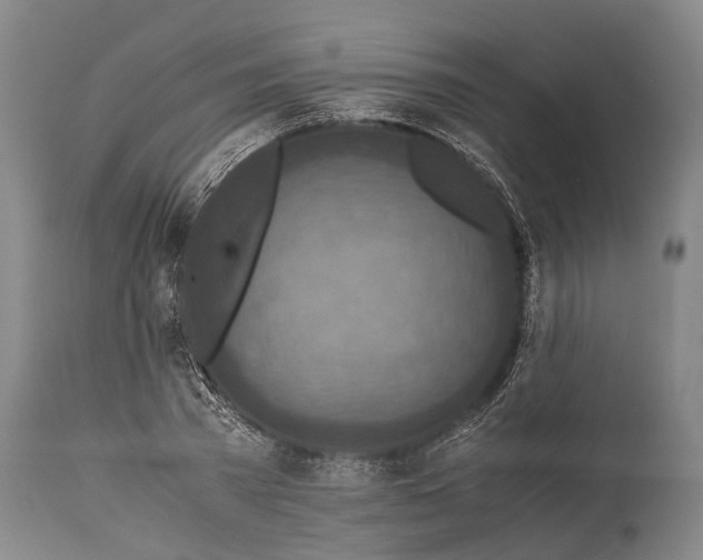 X0000115310785200911161720