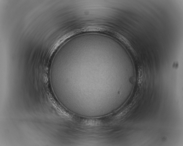 X0000115310786200911161720