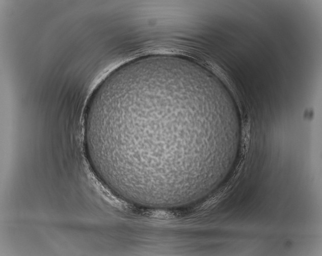 X0000115310787200911161720