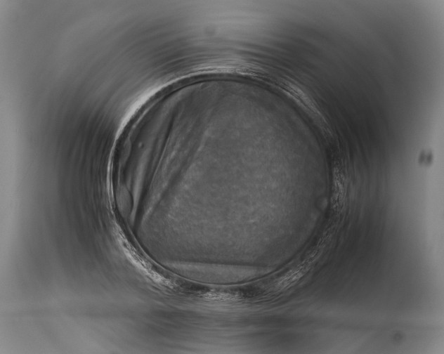 X0000115310788200911161720