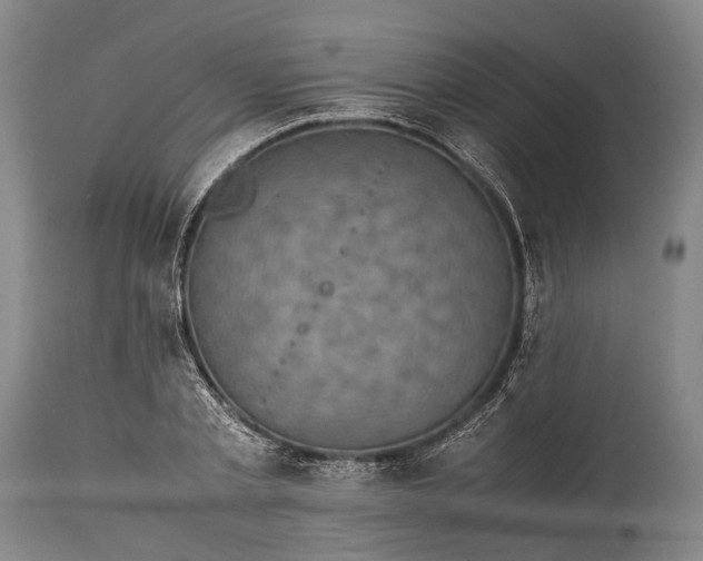 X0000115310789200911161720