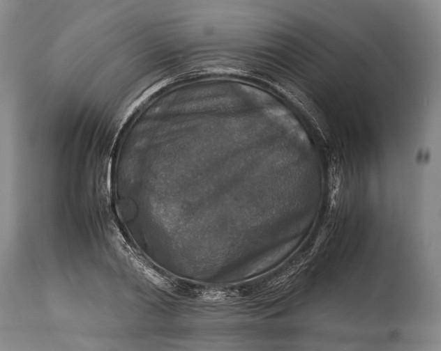 X0000115310790200911161720