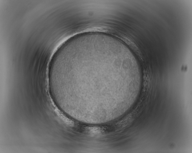 X0000115310792200911161720