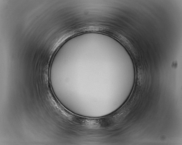 X0000115310794200911161720