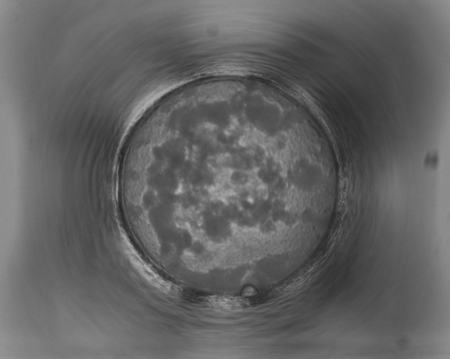 X0000115310795200911161720