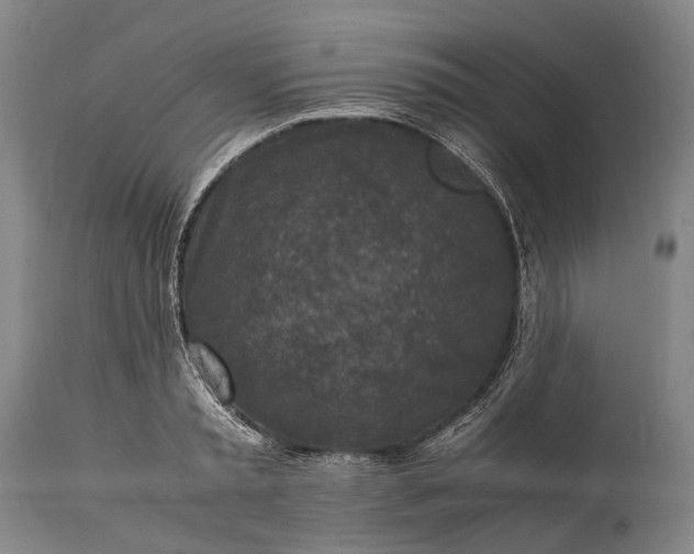 X0000115310797200911161720