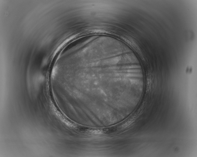 X0000115310798200911161720