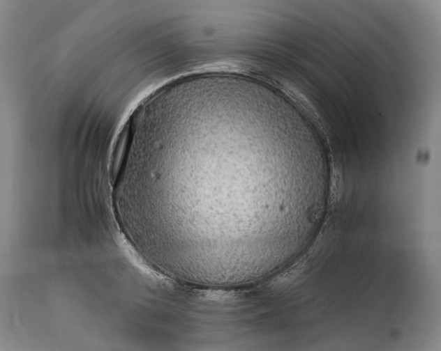 X0000115310800200911161720