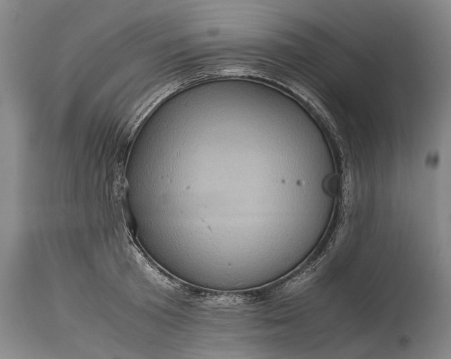 X0000115310801200911161720