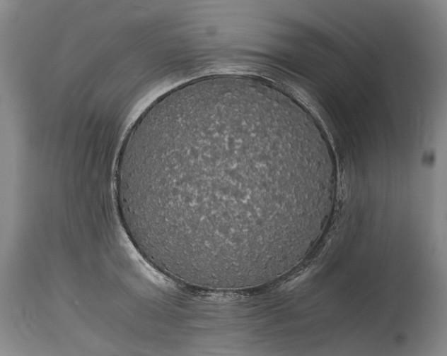 X0000115310803200911161720