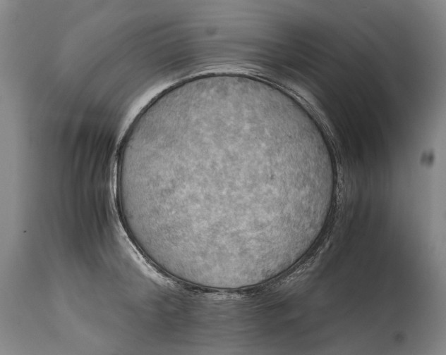 X0000115310804200911161720