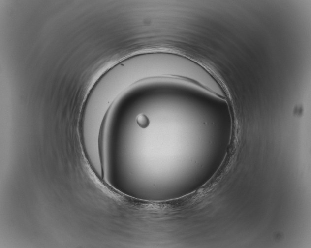 X0000115310805200911161720