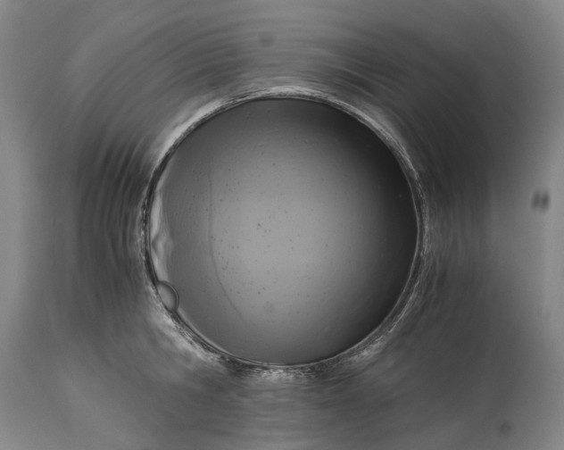 X0000115310806200911161720