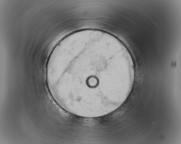 X0000115310807200911161720