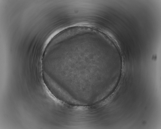 X0000115310808200911161720