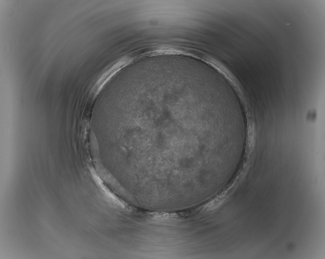 X0000115310809200911161720