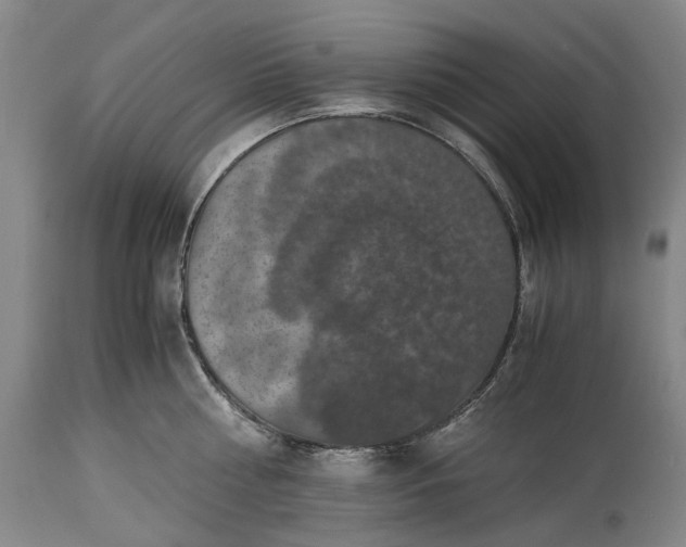 X0000115310810200911161720