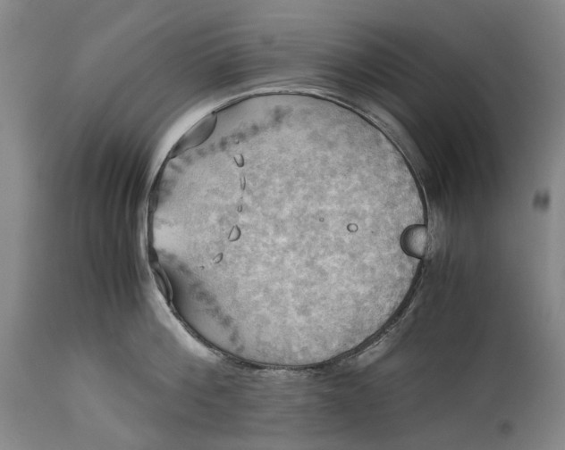 X0000115310812200911161720