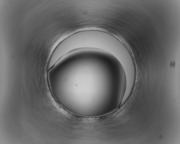 X0000115310813200911161720