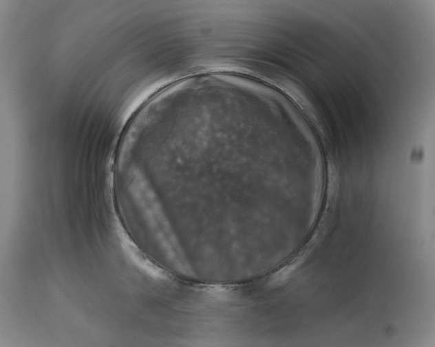 X0000115310814200911161720