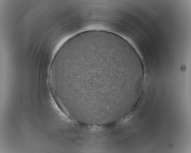 X0000115310815200911161720