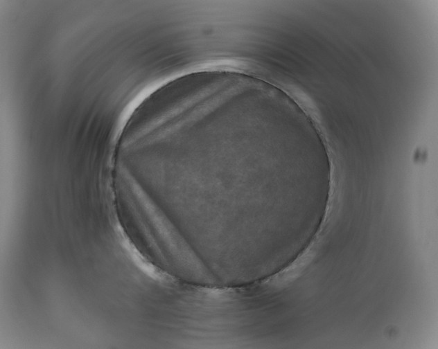 X0000115310816200911161720