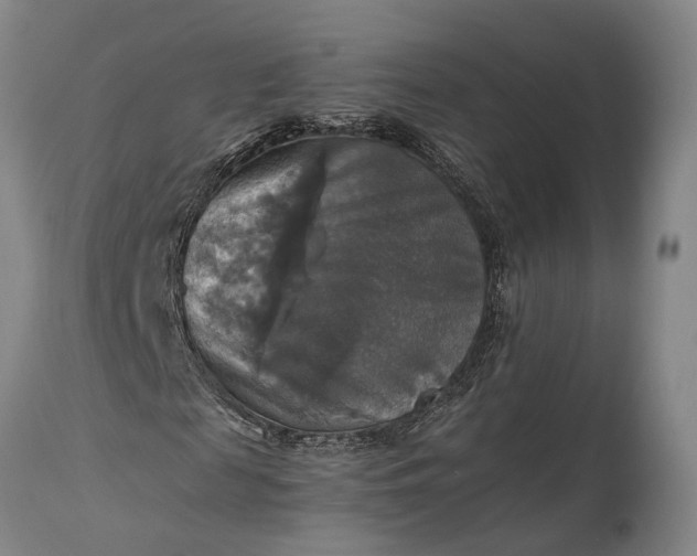 X0000115310817200911161719